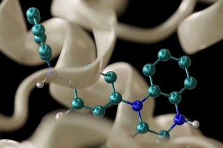 ligand_in_prot