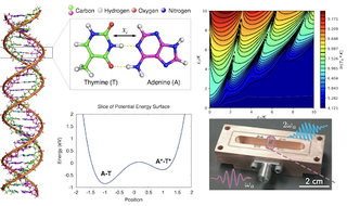 Kerr-Cat Quantum Devices 