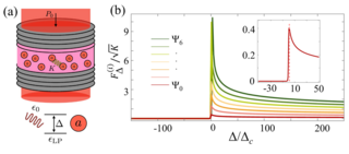 Polaritonic Device and Properties as function of Hamiltonian parameters