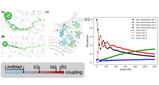 Quantum HEOM for chemical dynamics studies