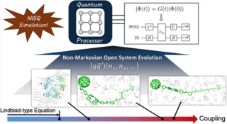 Quantum HEOM protocol for various systems